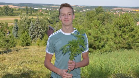 allelopátia allergia bacher józsef biológia tábor debreczeni csilla gyomirtó hrubos gergő kártékony növény kísérlet középiskolás növények életfolyamatai országos elismerés parlagfű természetes gyomirtó